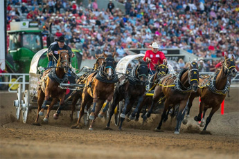 Calgary Stampede